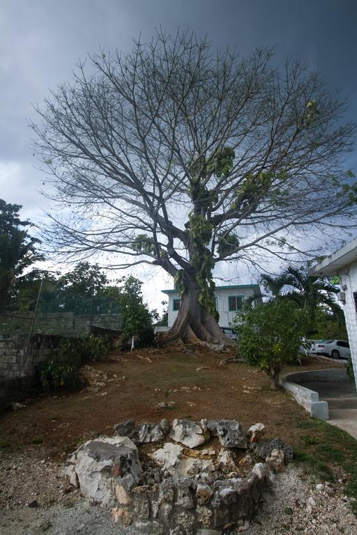 Rocky Top Retreat Negril Ngoại thất bức ảnh